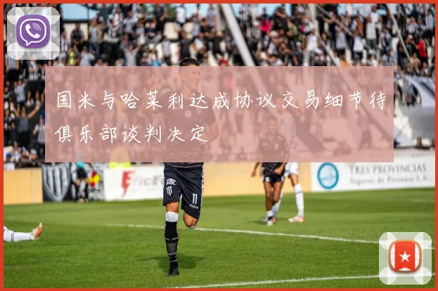 国米与哈莱利达成协议交易细节待俱乐部谈判决定