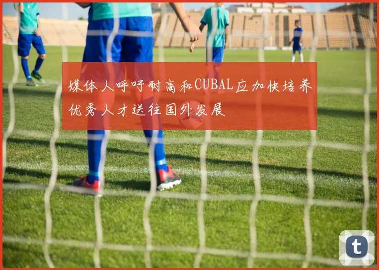 媒体人呼吁耐高和CUBAL应加快培养优秀人才送往国外发展